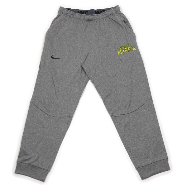 grey nike men's dri-fit therma training pants